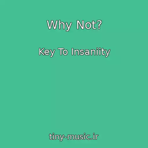 کاور آهنگ Why Not? از Key To Insaniity