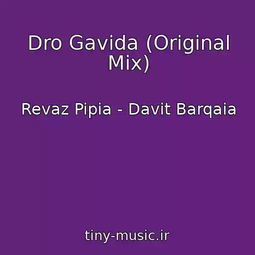 کاور آهنگ Dro Gavida (Original Mix) از Revaz Pipia - Davit Barqaia