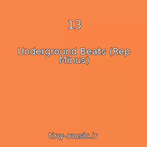کاور آهنگ 13 از Underground Beats (Rep Minus)