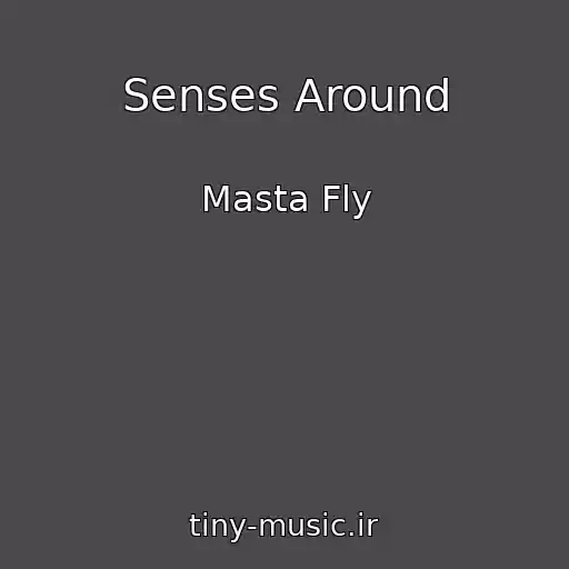 کاور آهنگ Senses Around از Masta Fly