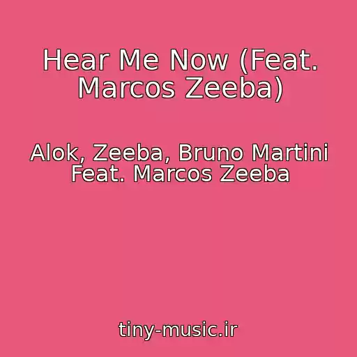 کاور آهنگ Hear Me Now (Feat. Marcos Zeeba) از Alok, Zeeba, Bruno Martini Feat. Marcos Zeeba