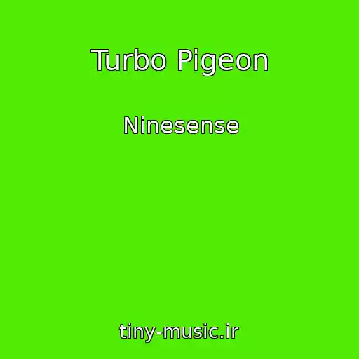 کاور آهنگ Turbo Pigeon از Ninesense