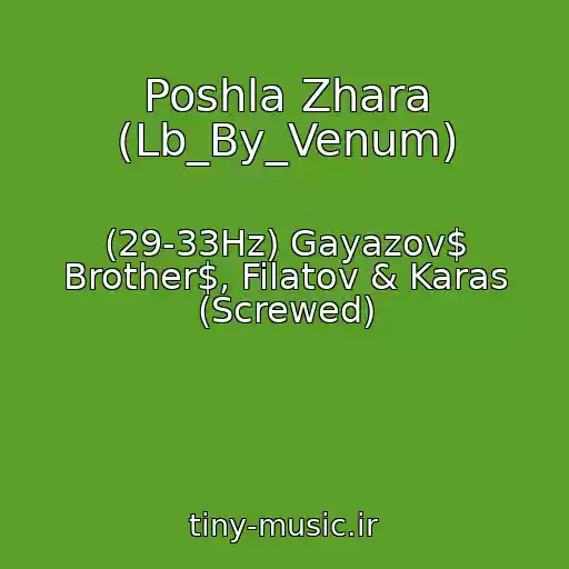 کاور آهنگ Poshla Zhara (Lb_By_Venum) از (29-33Hz) Gayazov$ Brother$, Filatov & Karas (Screwed)