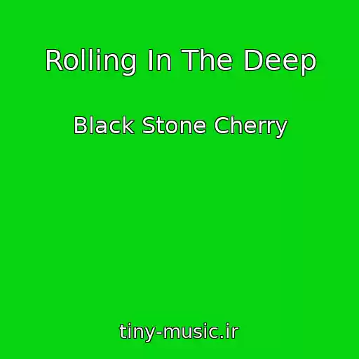 کاور آهنگ Rolling In The Deep از Black Stone Cherry