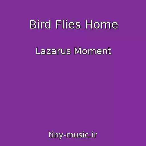 کاور آهنگ Bird Flies Home از Lazarus Moment