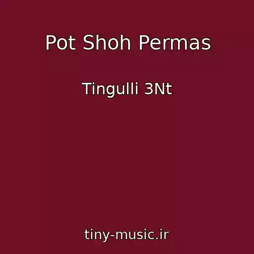 کاور آهنگ Pot Shoh Permas از Tingulli 3Nt