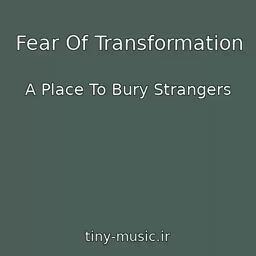 کاور آهنگ Fear Of Transformation از A Place To Bury Strangers