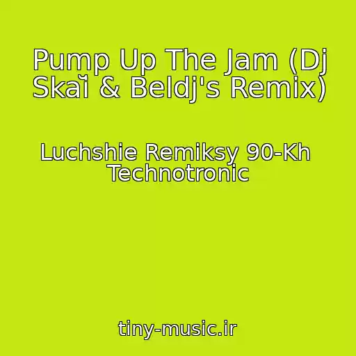 کاور آهنگ Pump Up The Jam (Dj Skaĭ & Beldj's Remix) از Luchshie Remiksy 90-Kh  Technotronic
