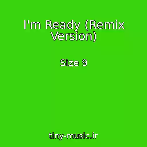 کاور آهنگ I'm Ready (Remix Version) از Size 9