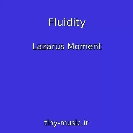 کاور آهنگ Fluidity از Lazarus Moment