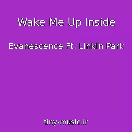 کاور آهنگ Wake Me Up Inside از Evanescence Ft. Linkin Park