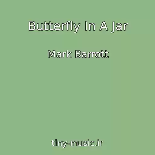 کاور آهنگ Butterfly In A Jar از Mark Barrott