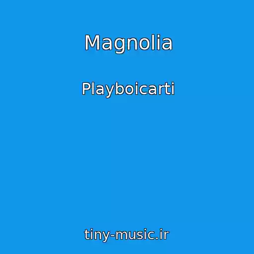 کاور آهنگ Magnolia از Playboicarti