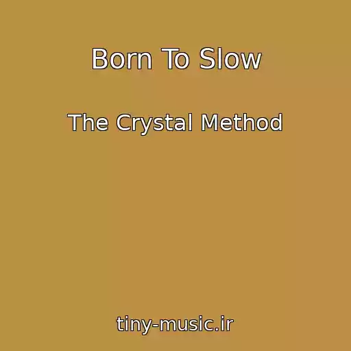 کاور آهنگ Born To Slow از The Crystal Method