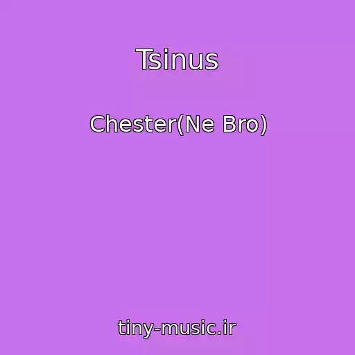 کاور آهنگ Tsinus از Chester(Ne Bro)