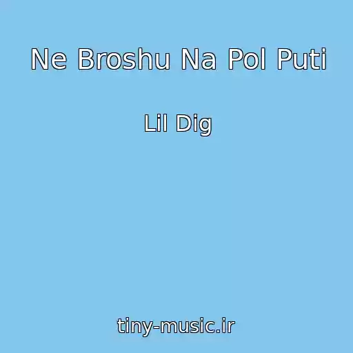 کاور آهنگ Ne Broshu Na Pol Puti از Lil Dig