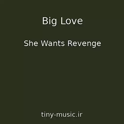 کاور آهنگ Big Love از She Wants Revenge
