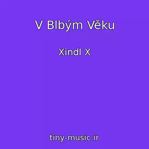 کاور آهنگ V Blbým Věku از Xindl X