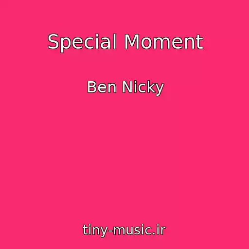 کاور آهنگ Special Moment از Ben Nicky