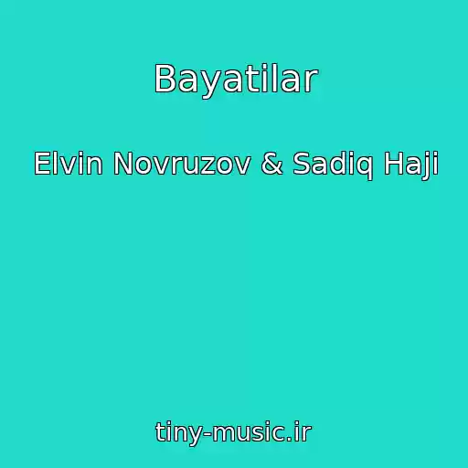 کاور آهنگ Bayatilar از Elvin Novruzov & Sadiq Haji