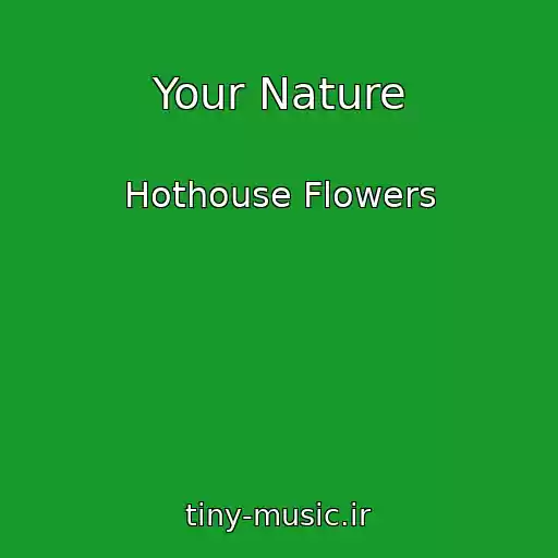 کاور آهنگ Your Nature از Hothouse Flowers