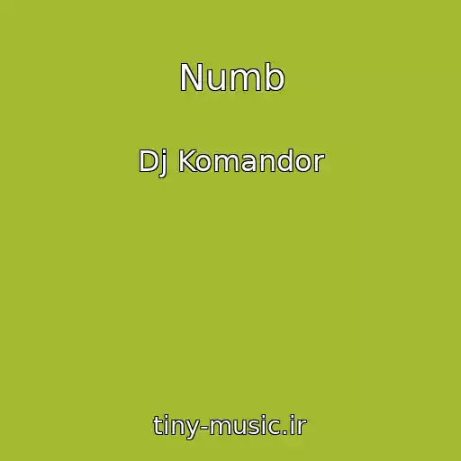 کاور آهنگ Numb از Dj Komandor