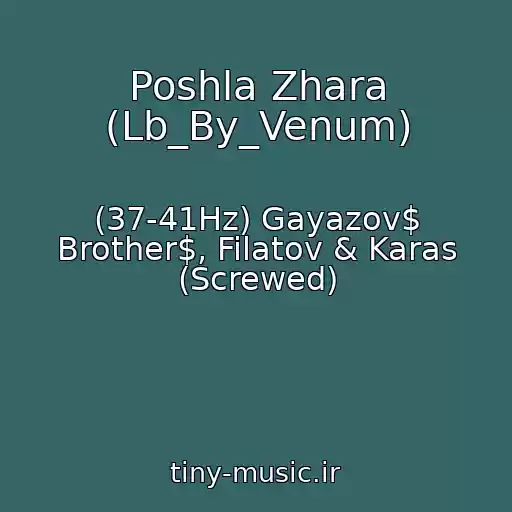 کاور آهنگ Poshla Zhara (Lb_By_Venum) از (37-41Hz) Gayazov$ Brother$, Filatov & Karas (Screwed)