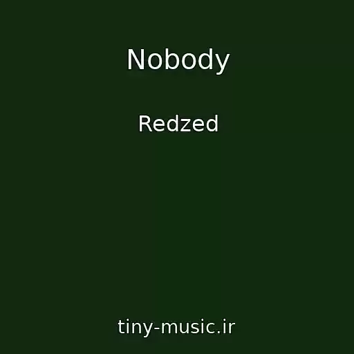 کاور آهنگ Nobody از Redzed