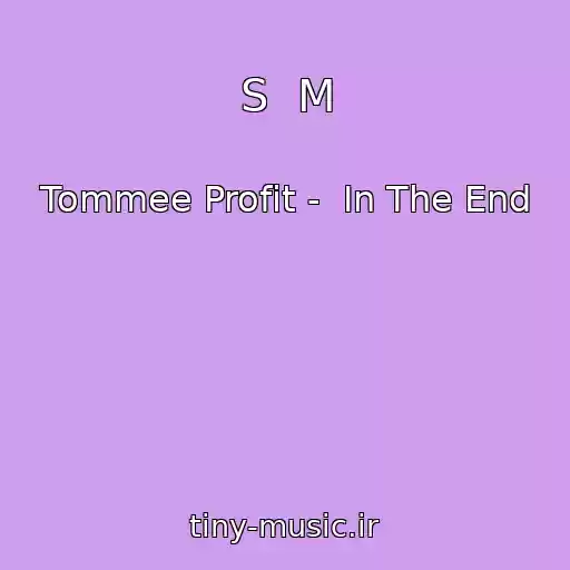کاور آهنگ S  M از Tommee Profit -  In The End