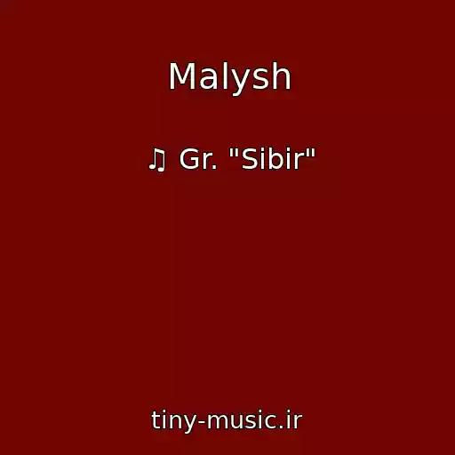 کاور آهنگ Malysh از ♫ Gr. "Sibir"