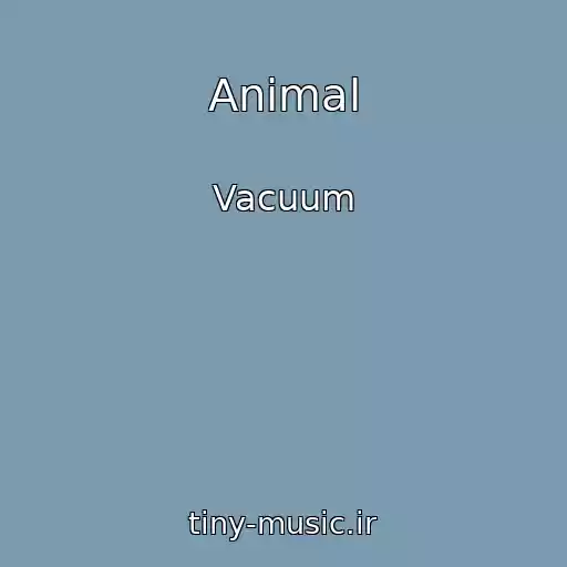 کاور آهنگ Animal از Vacuum