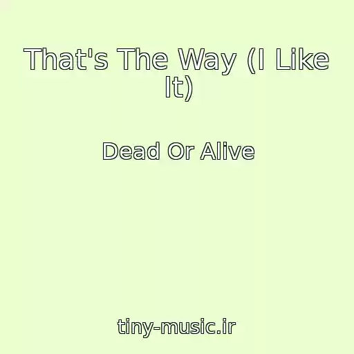 کاور آهنگ That's The Way (I Like It) از Dead Or Alive