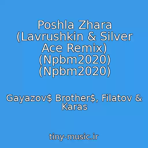 کاور آهنگ Poshla Zhara (Lavrushkin & Silver Ace Remix) (Npbm2020) (Npbm2020) از Gayazov$ Brother$, Filatov & Karas