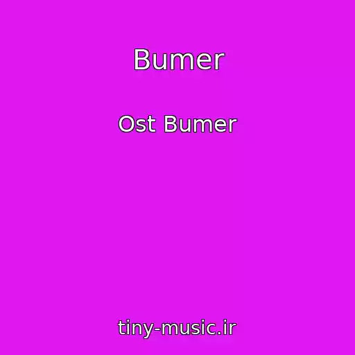 کاور آهنگ Bumer از Ost Bumer