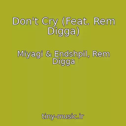 کاور آهنگ Don't Cry (Feat. Rem Digga) از Miyagi & Endshpil, Rem Digga