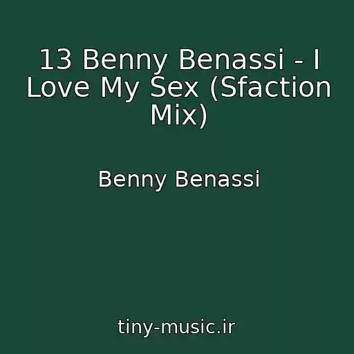 کاور آهنگ 13 Benny Benassi - I Love My Sex (Sfaction Mix) از Benny Benassi