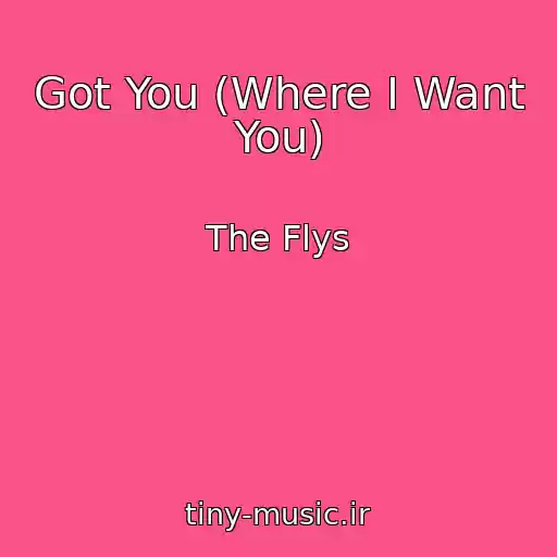 کاور آهنگ Got You (Where I Want You) از The Flys