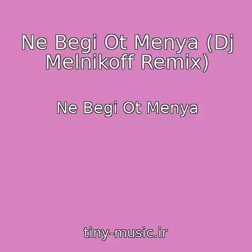 کاور آهنگ Ne Begi Ot Menya (Dj Melnikoff Remix) از Ne Begi Ot Menya