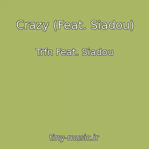 کاور آهنگ Crazy (Feat. Siadou) از Trfn Feat. Siadou