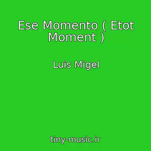 کاور آهنگ Ese Momento ( Etot Moment ) از Luis Migel