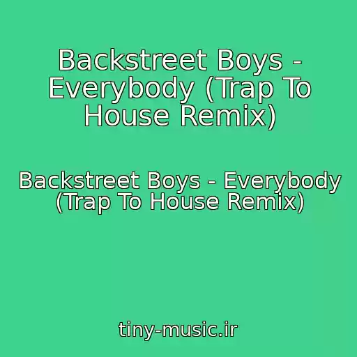 کاور آهنگ Backstreet Boys - Everybody (Trap To House Remix) از Backstreet Boys - Everybody (Trap To House Remix)