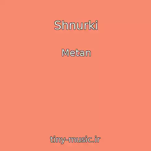 کاور آهنگ Shnurki از Metan