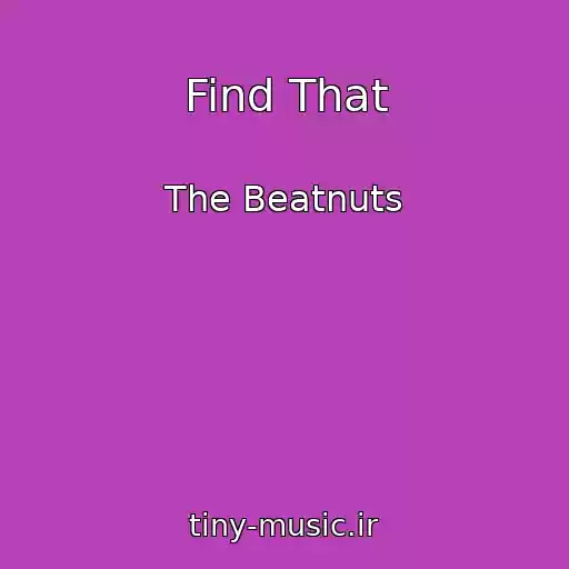 کاور آهنگ Find That از The Beatnuts