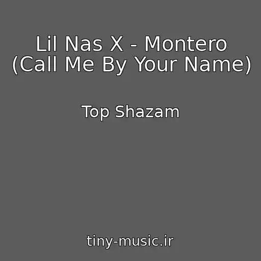 کاور آهنگ Lil Nas X - Montero (Call Me By Your Name) از Top Shazam