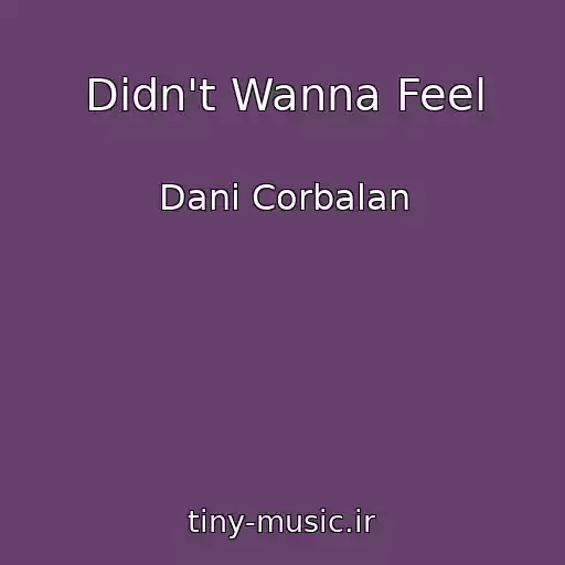 کاور آهنگ Didn't Wanna Feel از Dani Corbalan