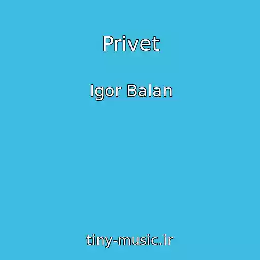 کاور آهنگ Privet از Igor Balan