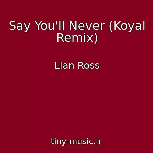 کاور آهنگ Say You'll Never (Koyal Remix) از Lian Ross