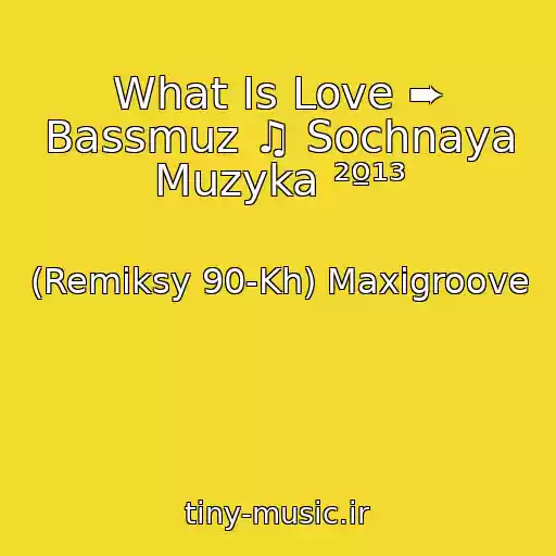 کاور آهنگ What Is Love ➨ Bassmuz ♫ Sochnaya Muzyka ²º¹³ از (Remiksy 90-Kh) Maxigroove