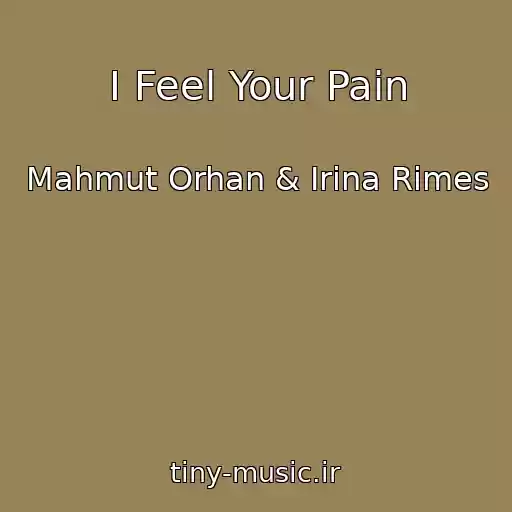کاور آهنگ I Feel Your Pain از Mahmut Orhan & Irina Rimes