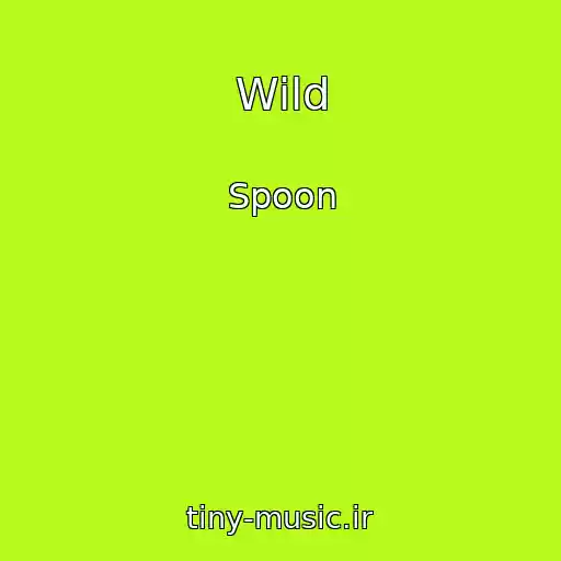 کاور آهنگ Wild از Spoon